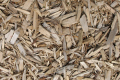 biomass boilers Sewardstone