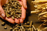 free Sewardstone biomass boiler quotes